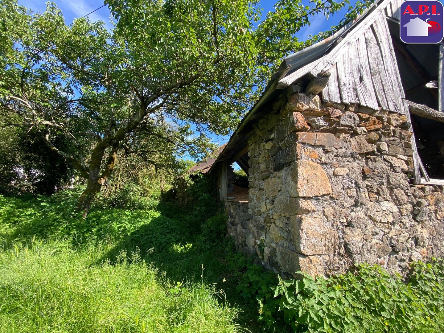 Agence immobilière de ARIEGE PYRENEES IMMOBILIER (API)