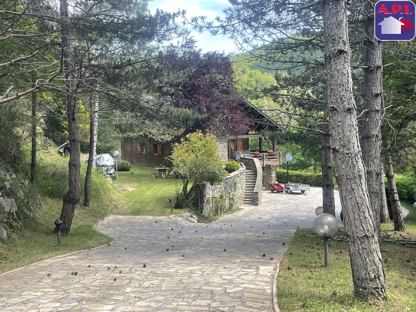 Agence immobilière de ARIEGE PYRENEES IMMOBILIER (API)