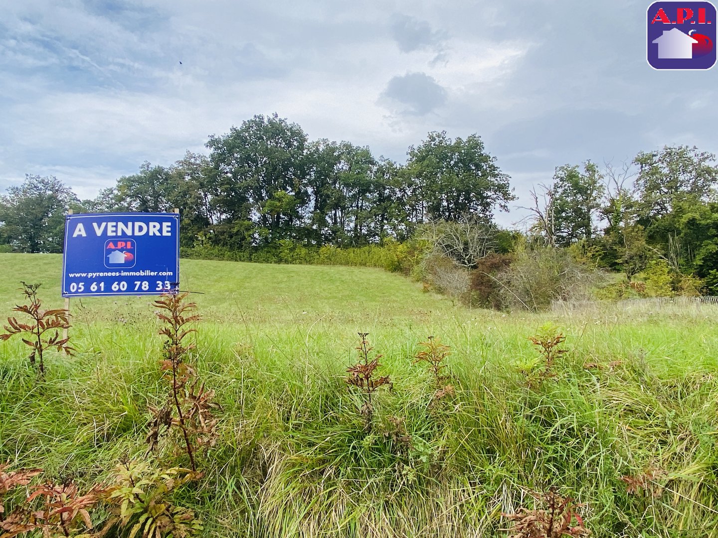 Agence immobilière de ARIEGE PYRENEES IMMOBILIER (API)