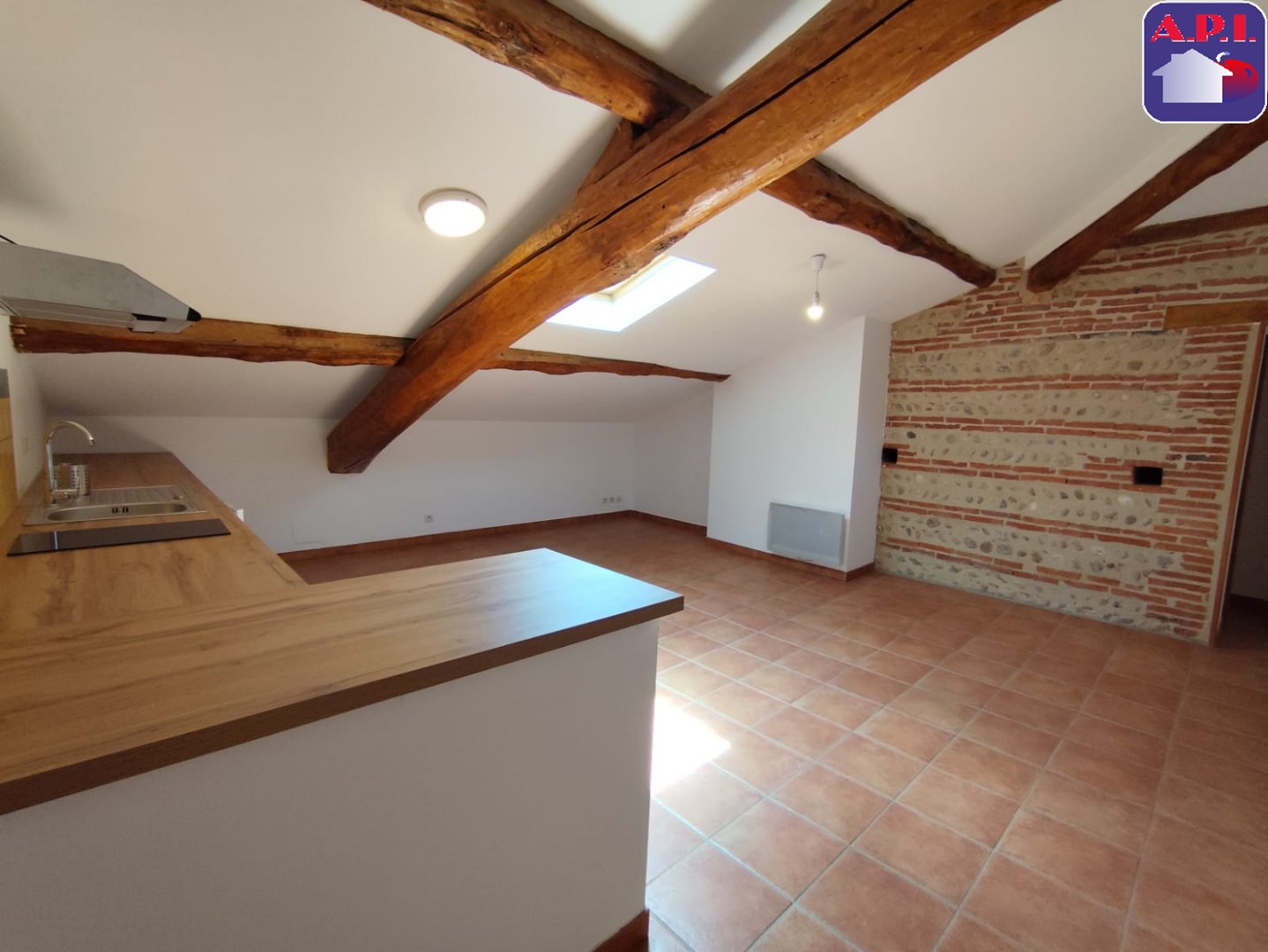 Agence immobilière de ARIEGE PYRENEES IMMOBILIER (API)