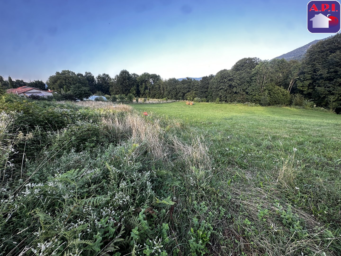 Agence immobilière de ARIEGE PYRENEES IMMOBILIER (API)