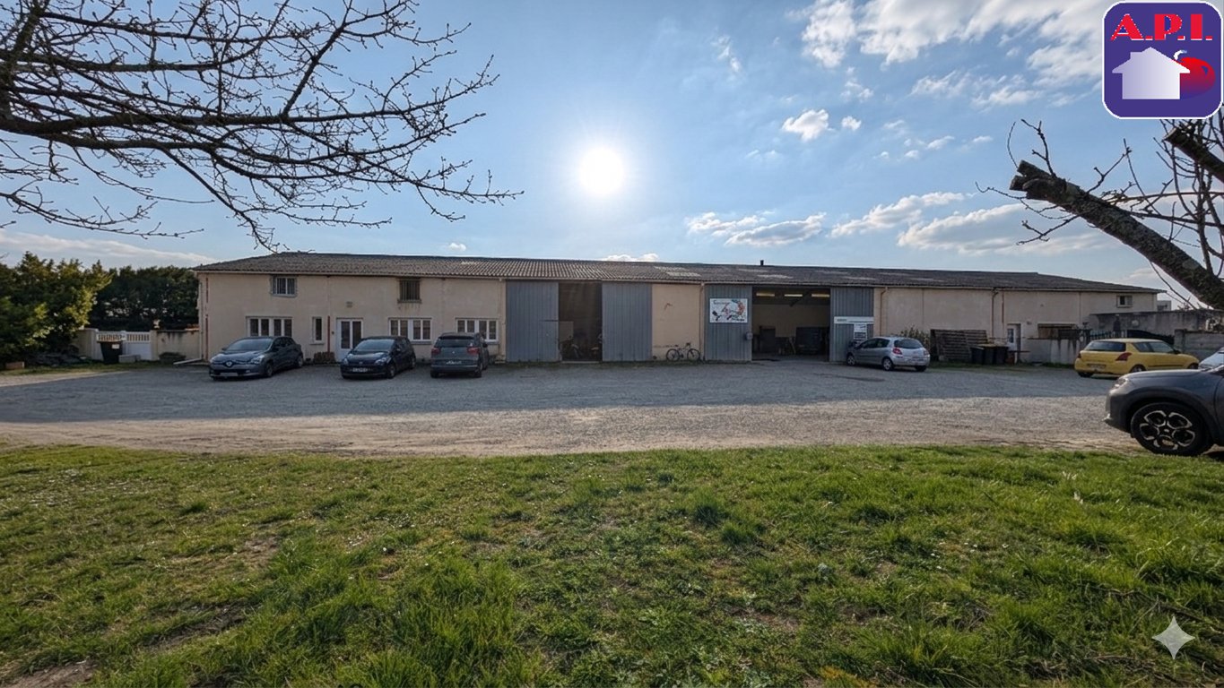 Agence immobilière de ARIEGE PYRENEES IMMOBILIER (API)