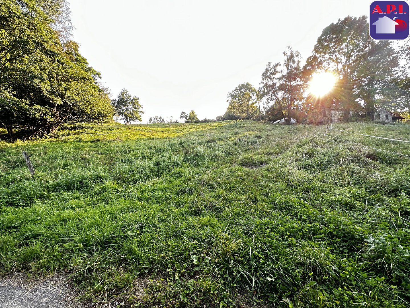 Agence immobilière de ARIEGE PYRENEES IMMOBILIER (API)