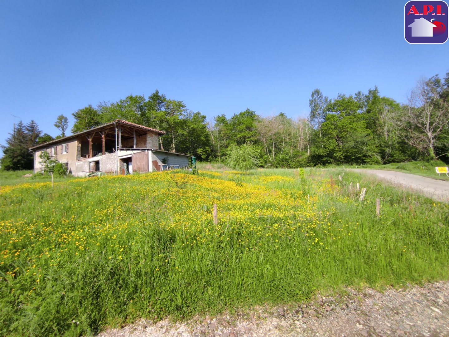 Agence immobilière de ARIEGE PYRENEES IMMOBILIER (API)