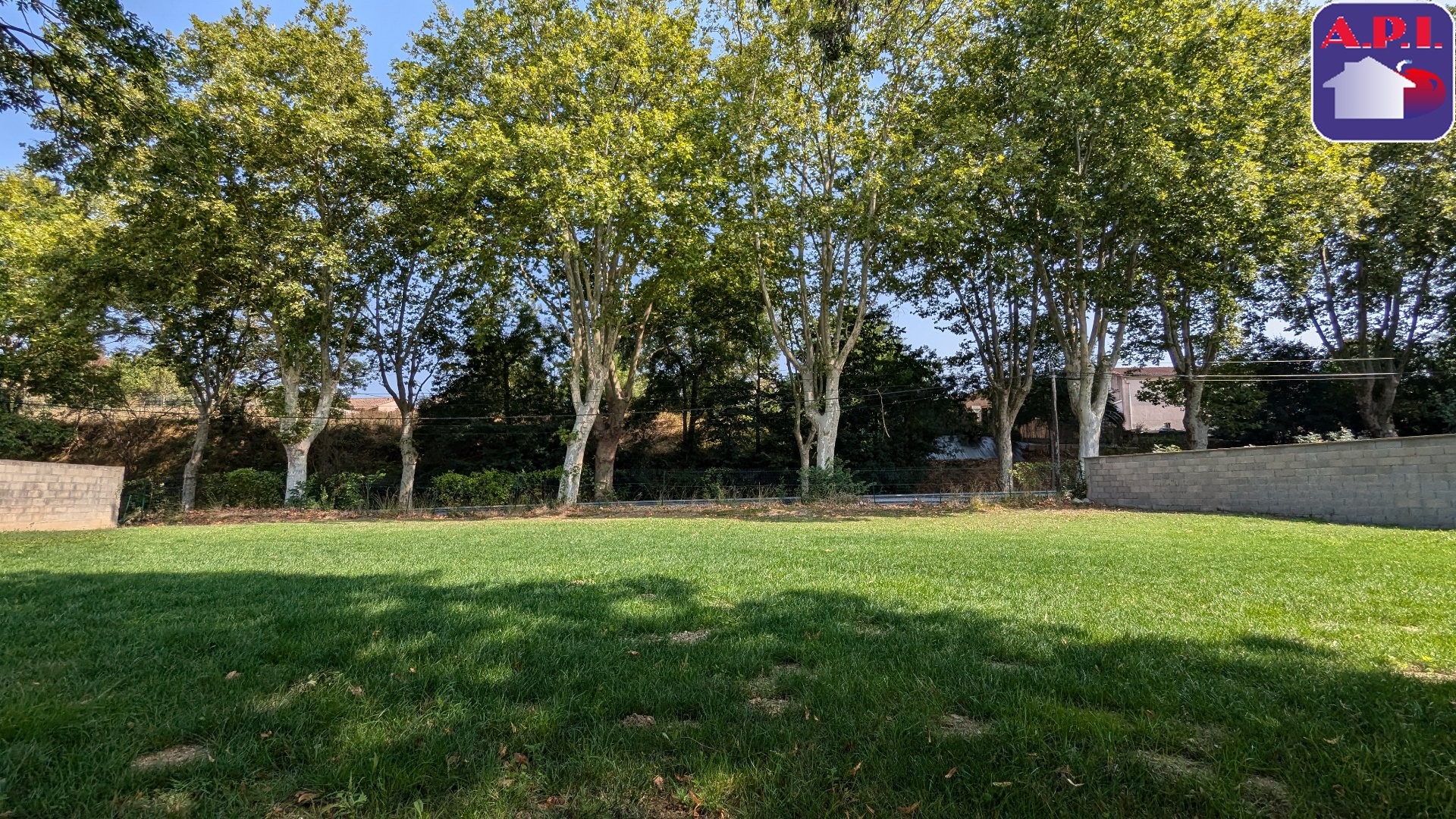 Agence immobilière de ARIEGE PYRENEES IMMOBILIER (API)