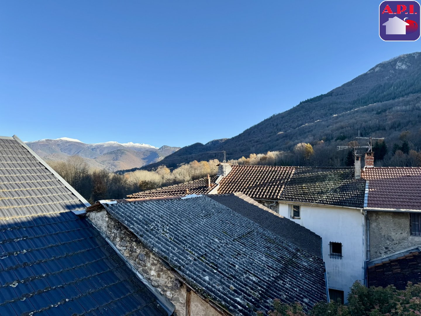 Agence immobilière de ARIEGE PYRENEES IMMOBILIER (API)