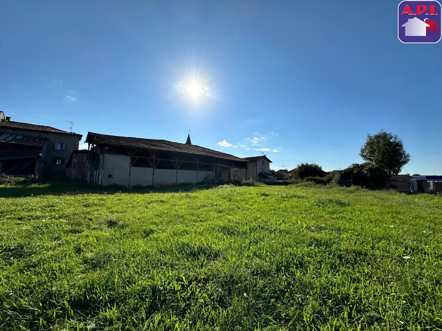 Agence immobilière de ARIEGE PYRENEES IMMOBILIER (API)