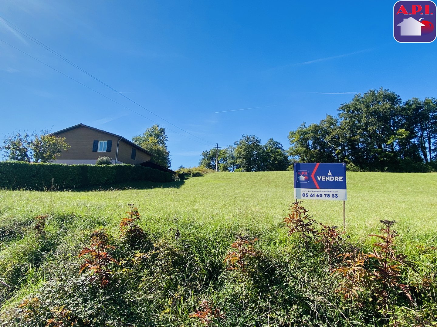 Agence immobilière de ARIEGE PYRENEES IMMOBILIER (API)