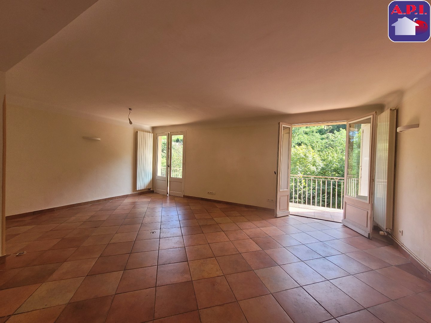 Agence immobilière de ARIEGE PYRENEES IMMOBILIER (API)