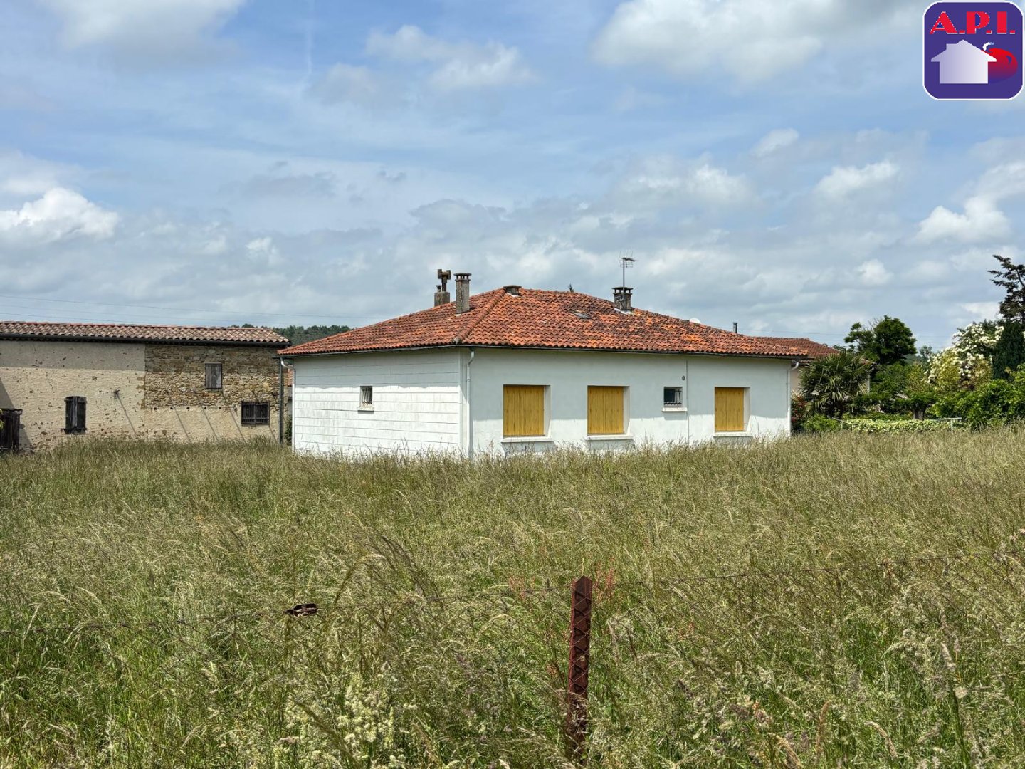 Agence immobilière de ARIEGE PYRENEES IMMOBILIER (API)