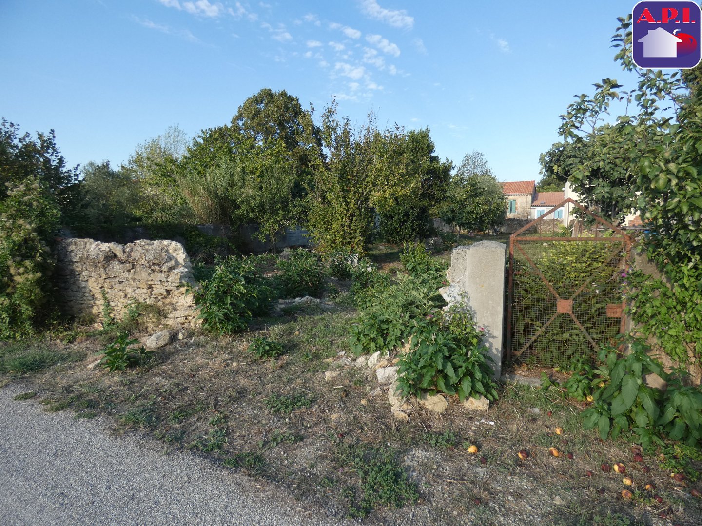 Agence immobilière de ARIEGE PYRENEES IMMOBILIER (API)