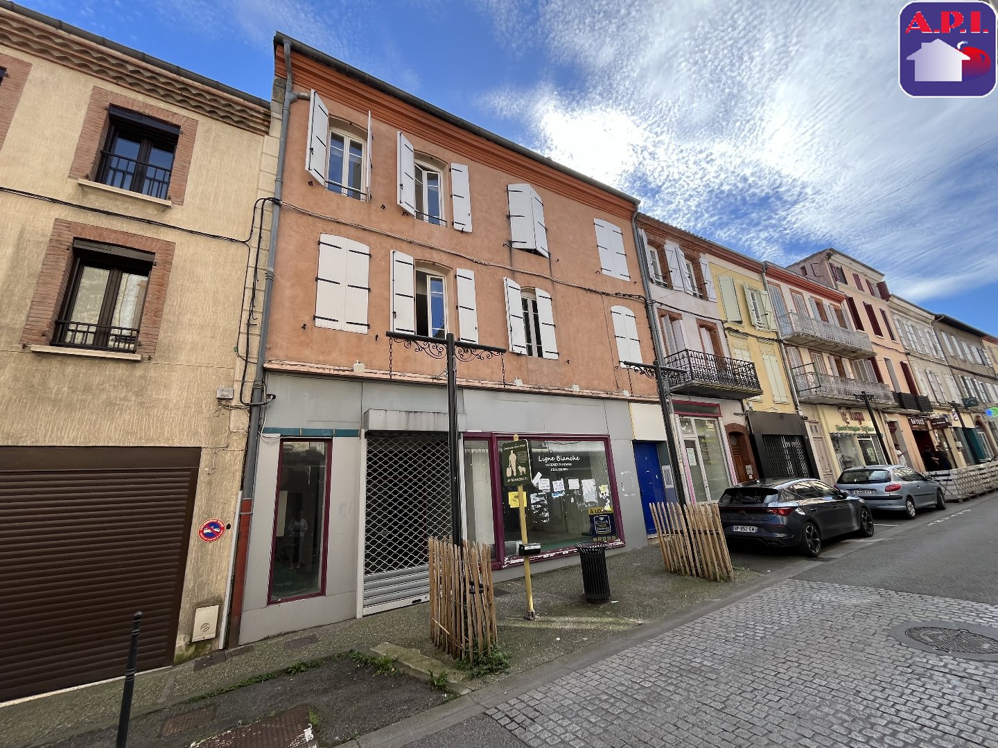 Agence immobilière de ARIEGE PYRENEES IMMOBILIER (API)