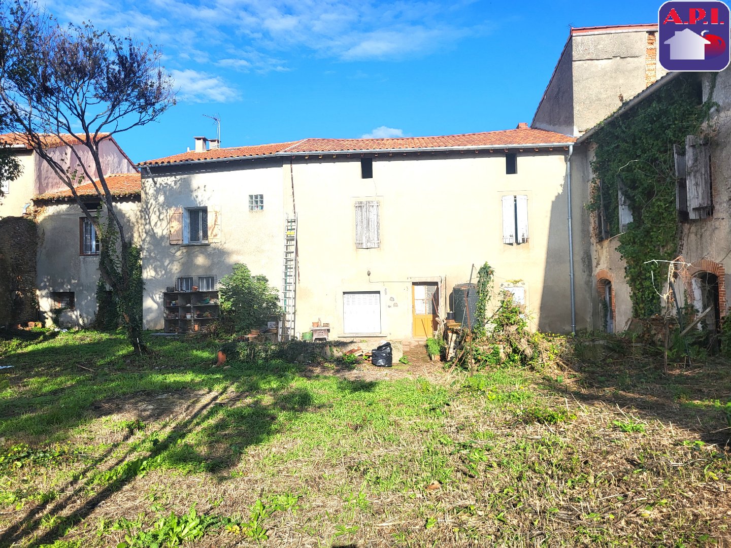 Agence immobilière de ARIEGE PYRENEES IMMOBILIER (API)