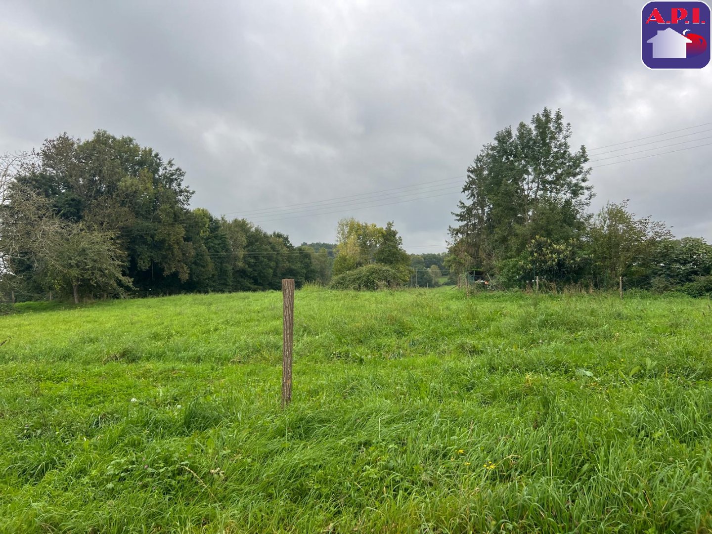 Agence immobilière de ARIEGE PYRENEES IMMOBILIER (API)