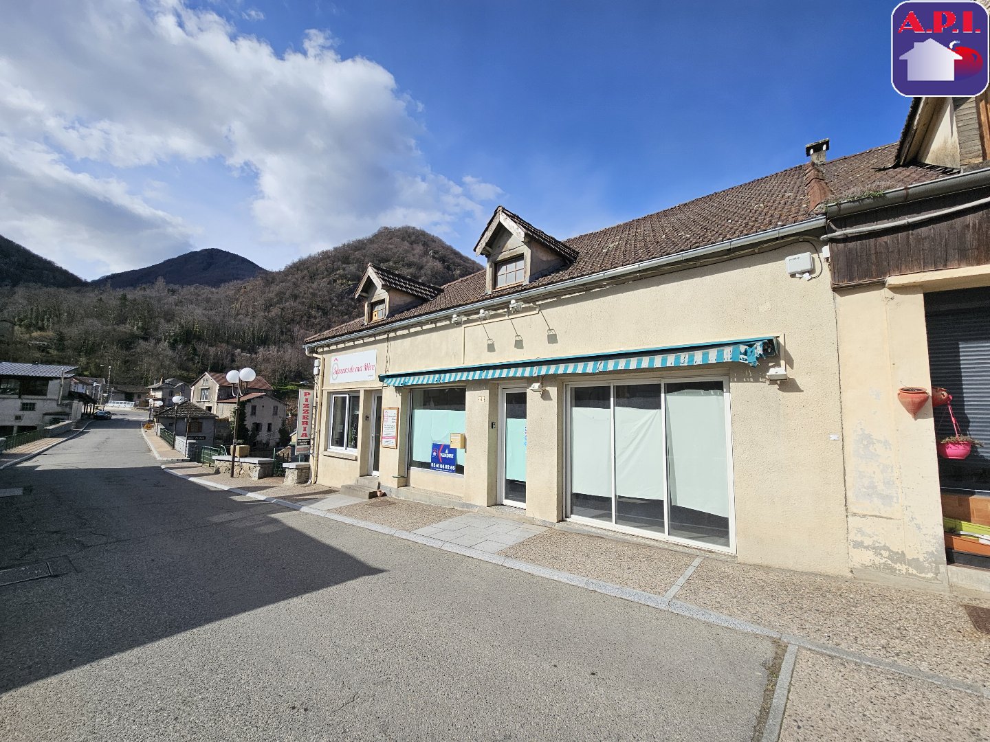 Agence immobilière de ARIEGE PYRENEES IMMOBILIER (API)