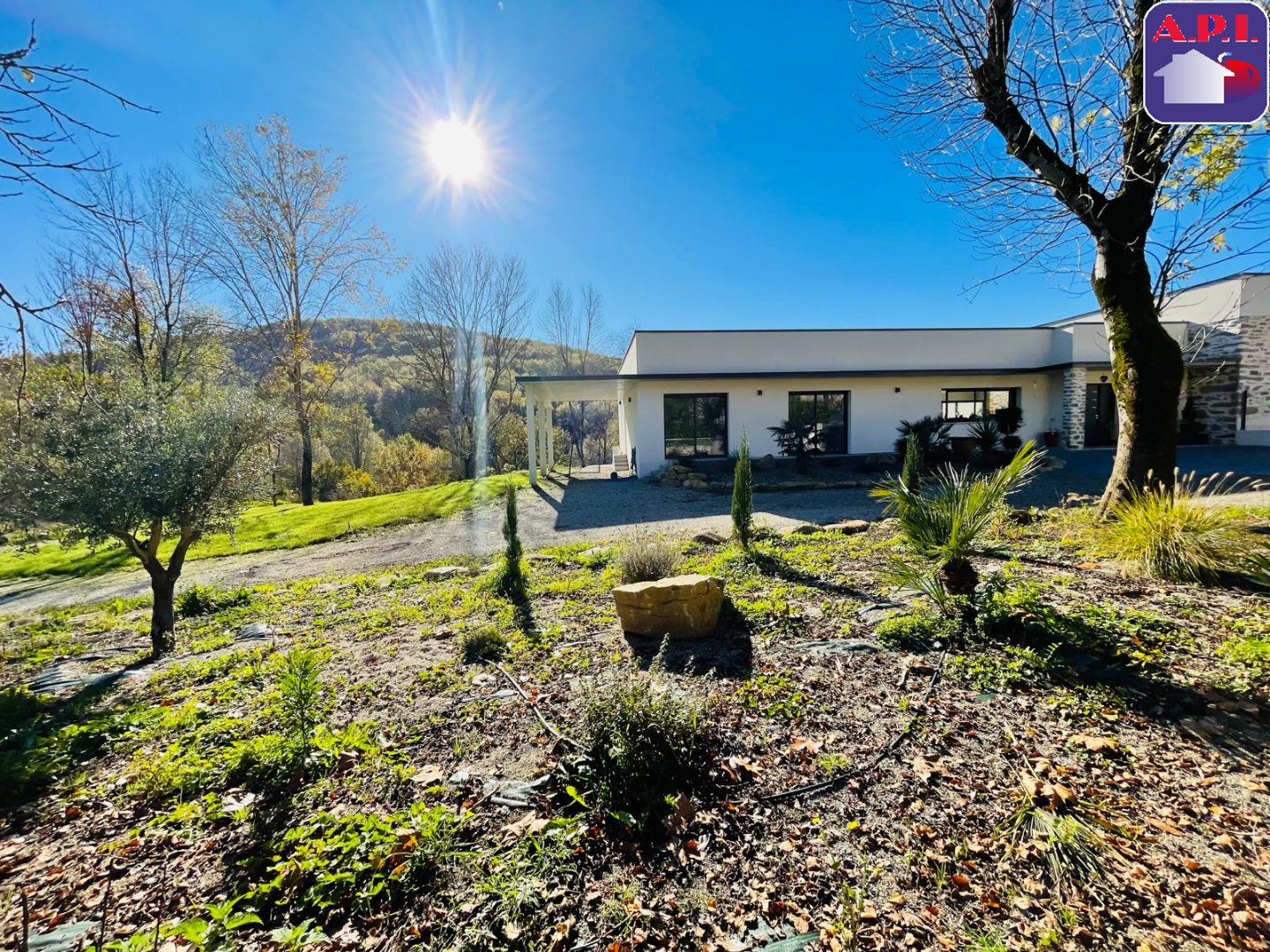 Agence immobilière de ARIEGE PYRENEES IMMOBILIER (API)