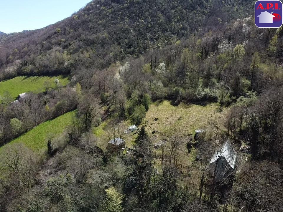 Agence immobilière de ARIEGE PYRENEES IMMOBILIER (API)