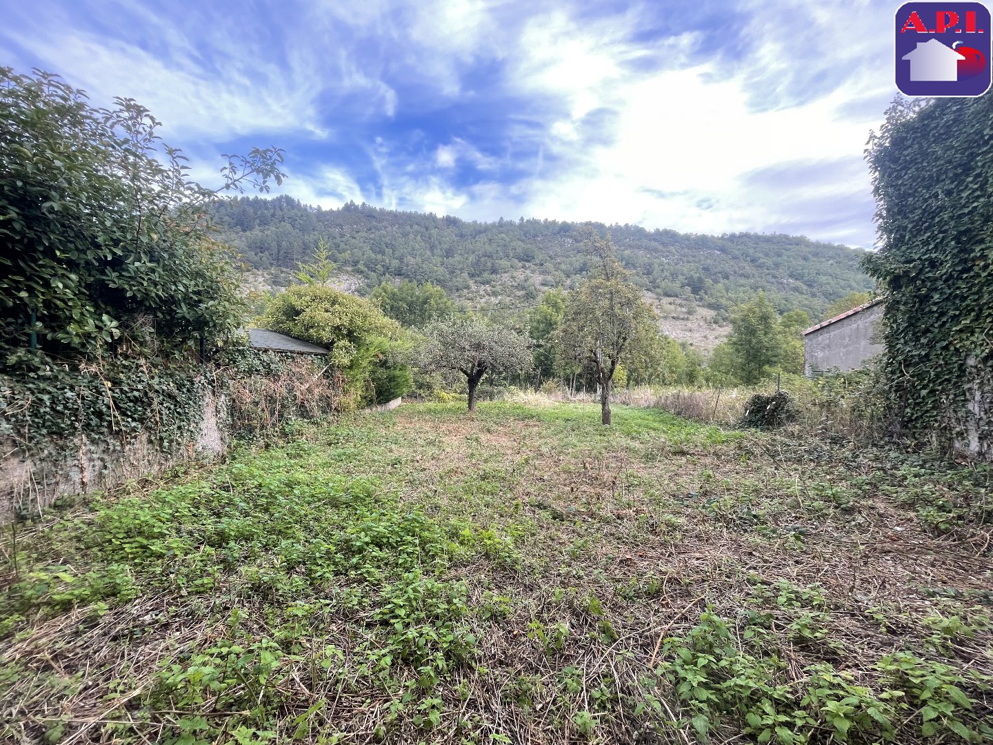 Agence immobilière de ARIEGE PYRENEES IMMOBILIER (API)