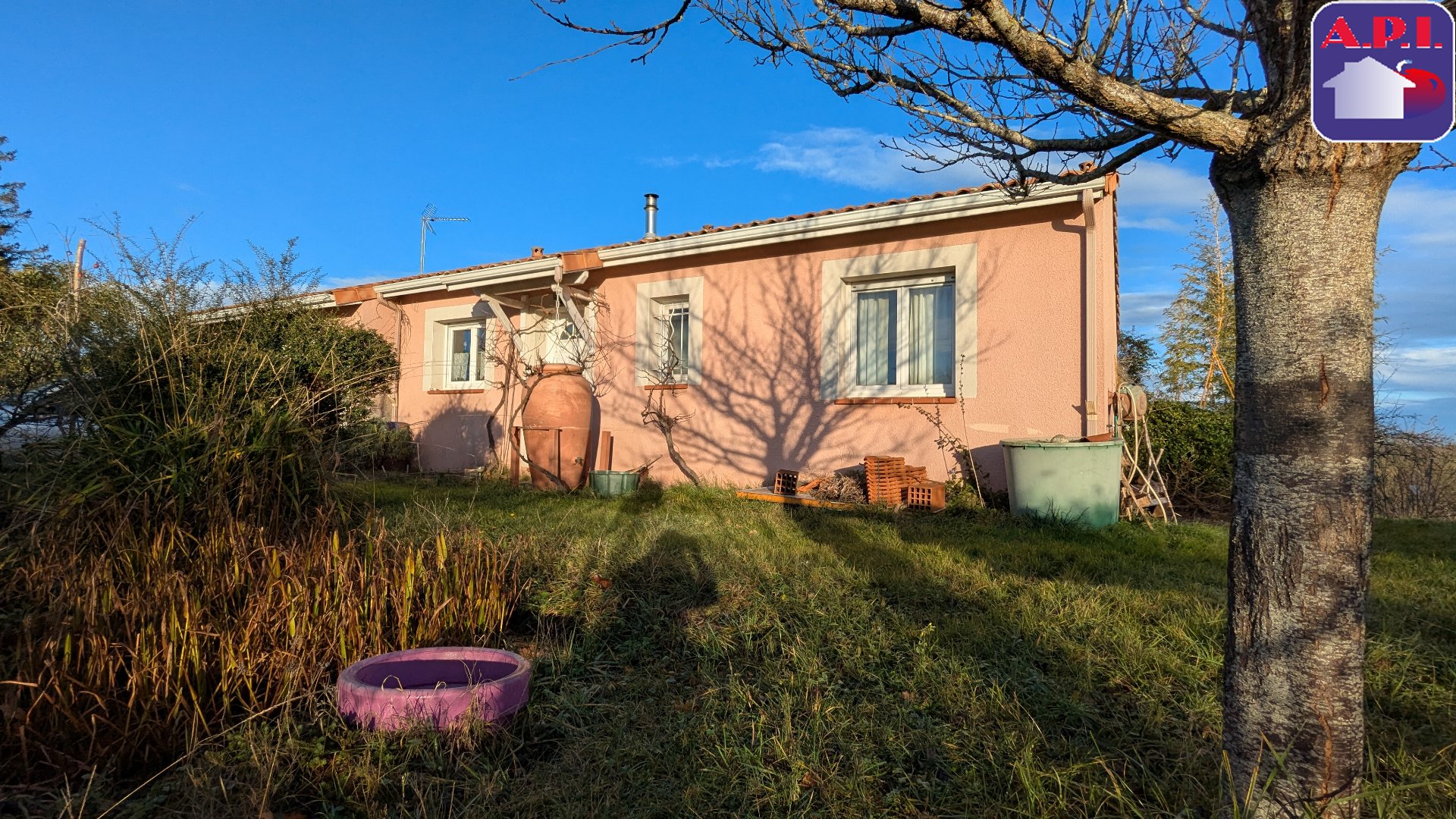 Agence immobilière de ARIEGE PYRENEES IMMOBILIER (API)