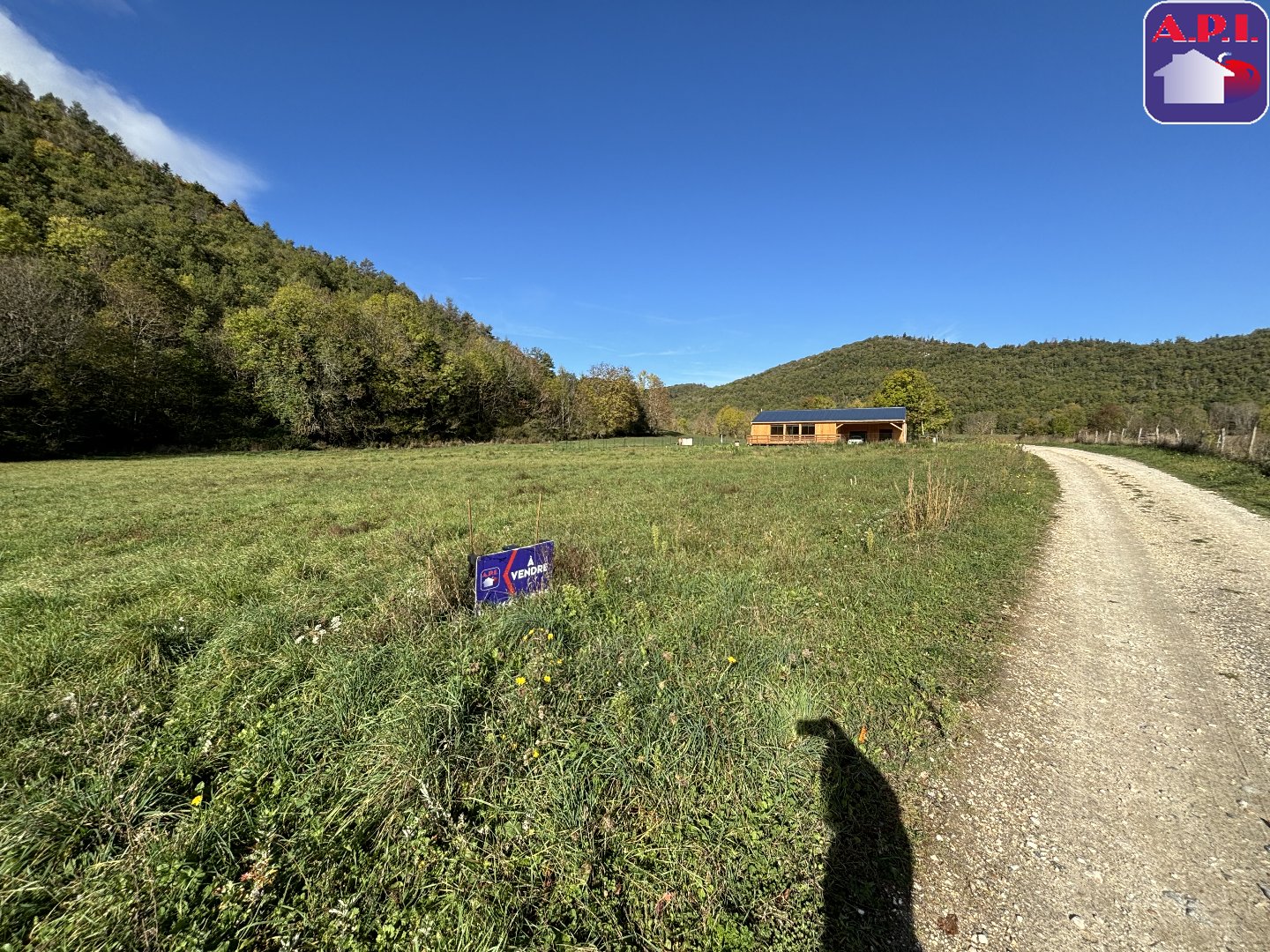 Agence immobilière de ARIEGE PYRENEES IMMOBILIER (API)