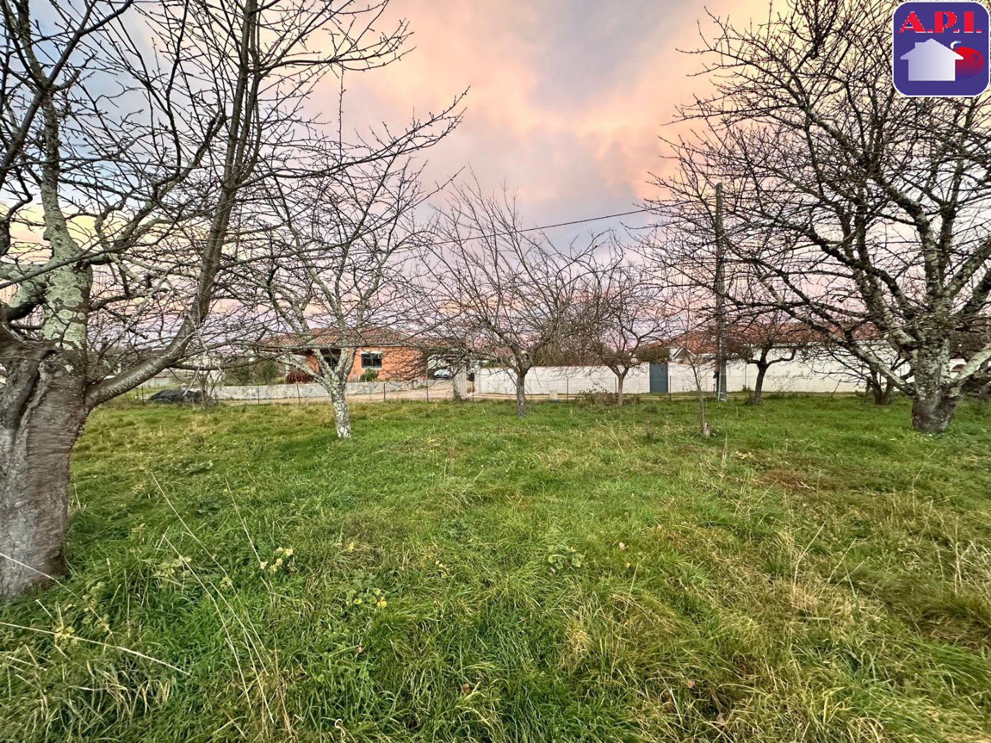 Agence immobilière de ARIEGE PYRENEES IMMOBILIER (API)