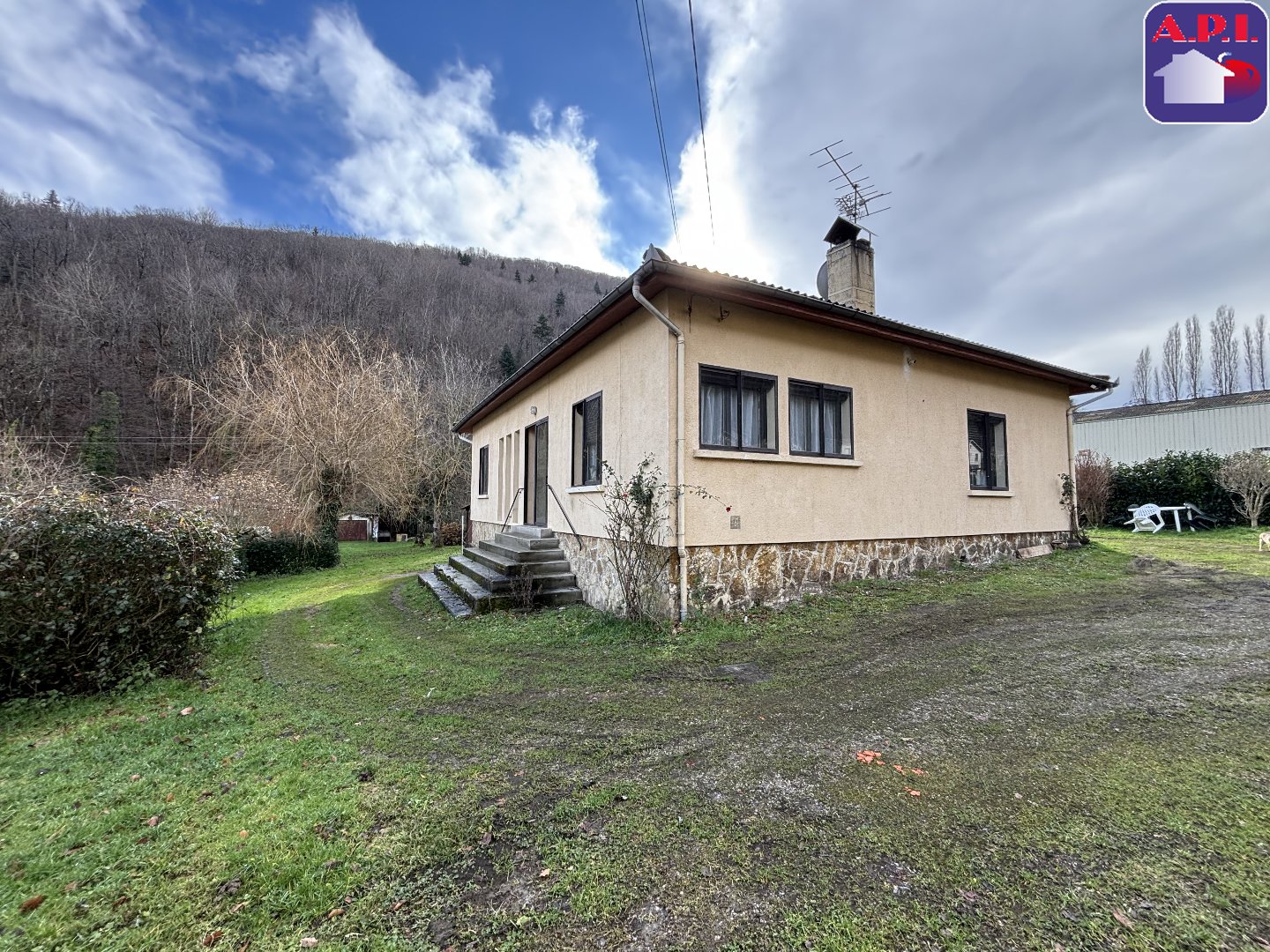 Agence immobilière de ARIEGE PYRENEES IMMOBILIER (API)