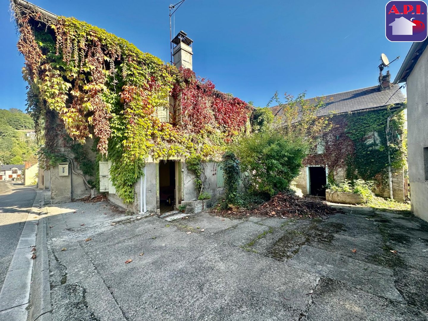 Agence immobilière de ARIEGE PYRENEES IMMOBILIER (API)