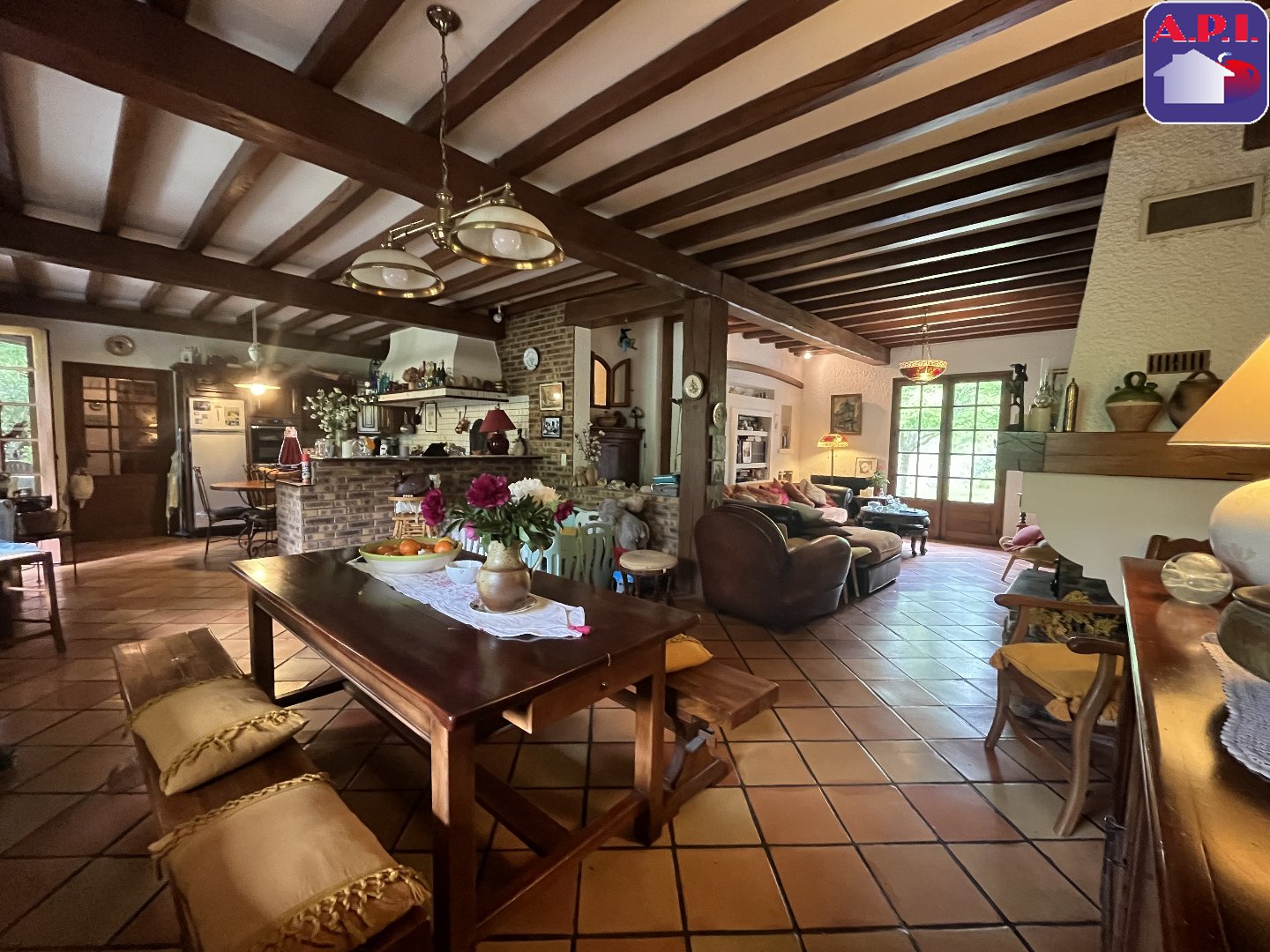 Agence immobilière de ARIEGE PYRENEES IMMOBILIER (API)