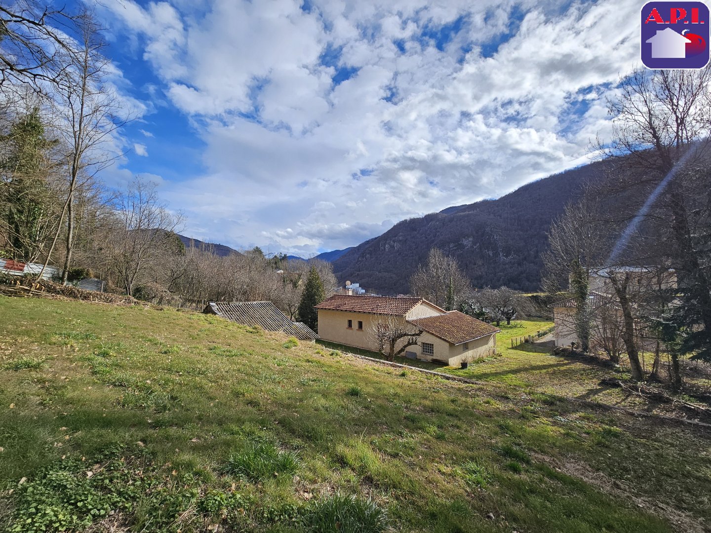 Agence immobilière de ARIEGE PYRENEES IMMOBILIER (API)