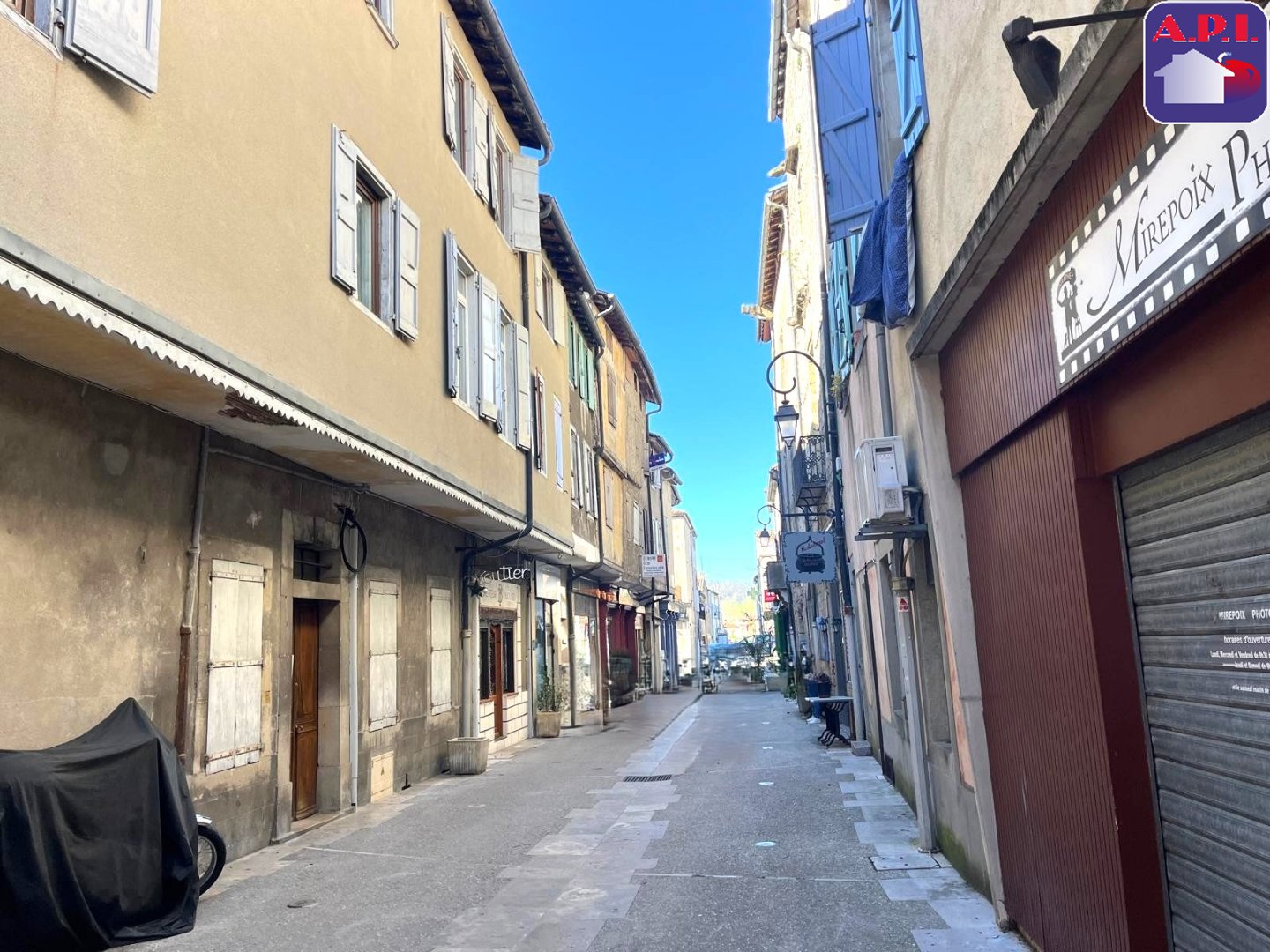 Agence immobilière de ARIEGE PYRENEES IMMOBILIER (API)