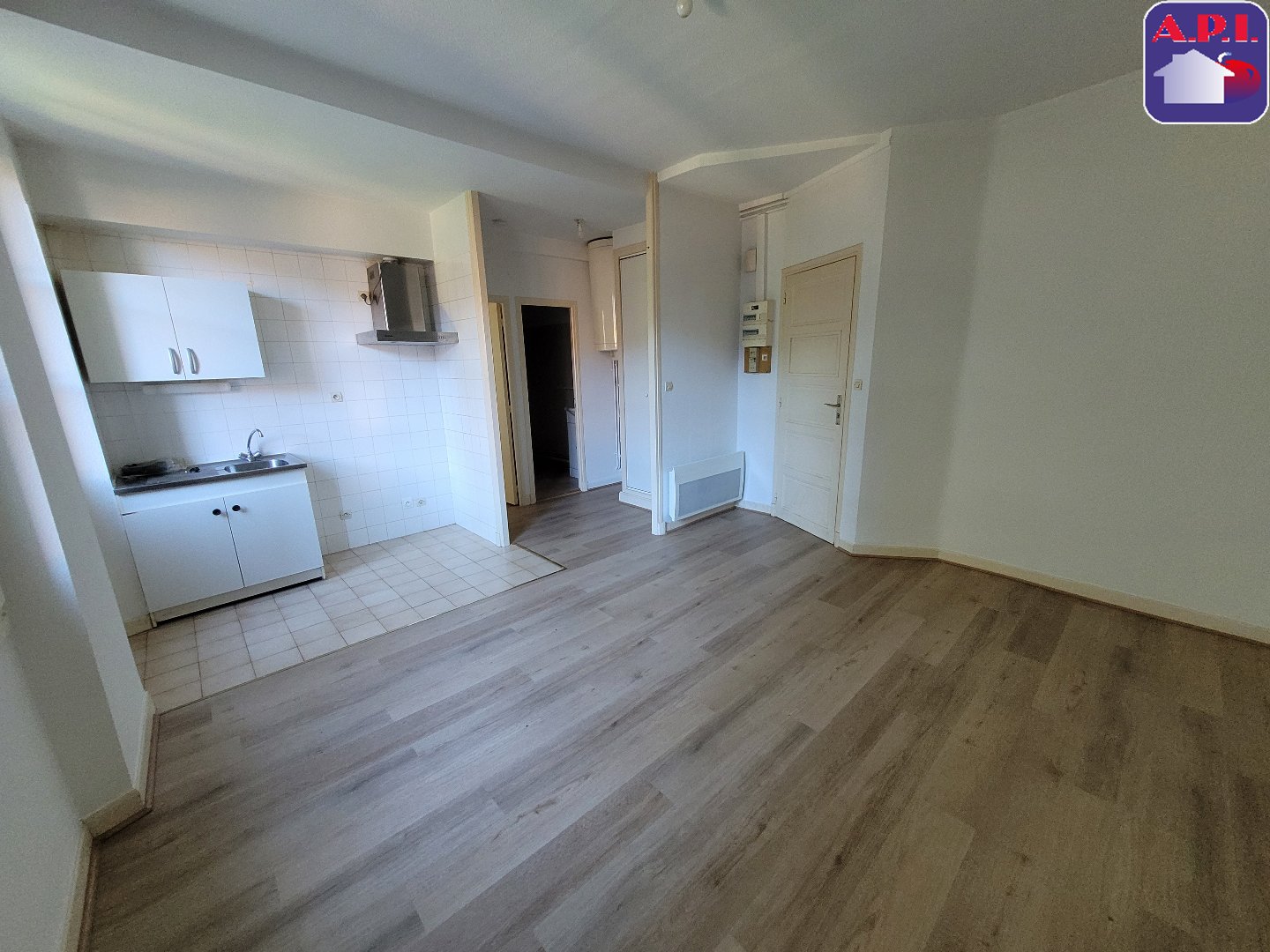 Agence immobilière de ARIEGE PYRENEES IMMOBILIER (API)