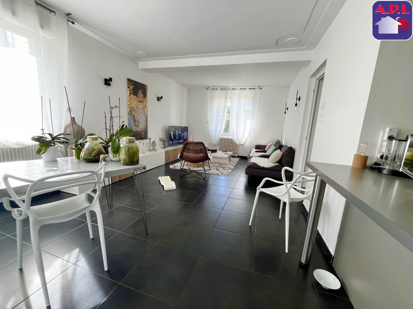 Agence immobilière de ARIEGE PYRENEES IMMOBILIER (API)