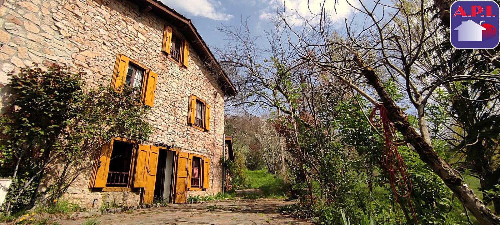 Agence immobilière de ARIEGE PYRENEES IMMOBILIER (API)