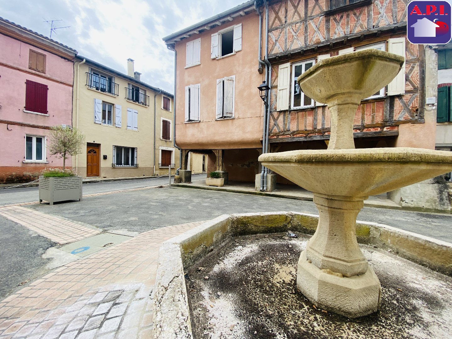 Agence immobilière de ARIEGE PYRENEES IMMOBILIER (API)