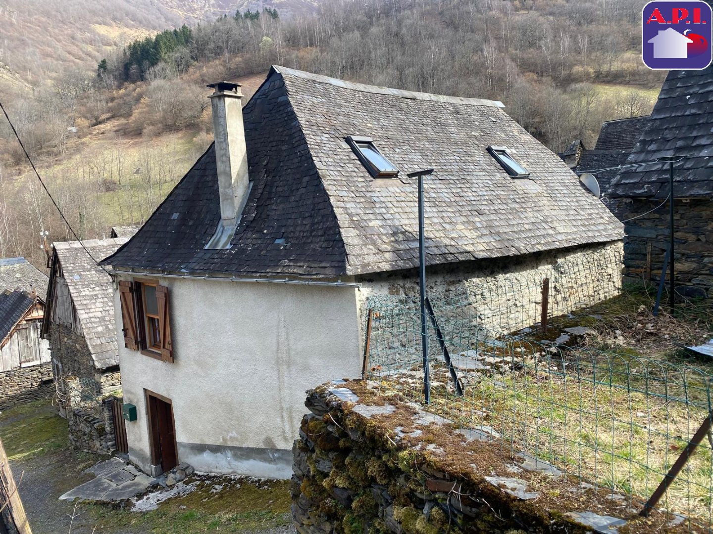 Agence immobilière de ARIEGE PYRENEES IMMOBILIER (API)