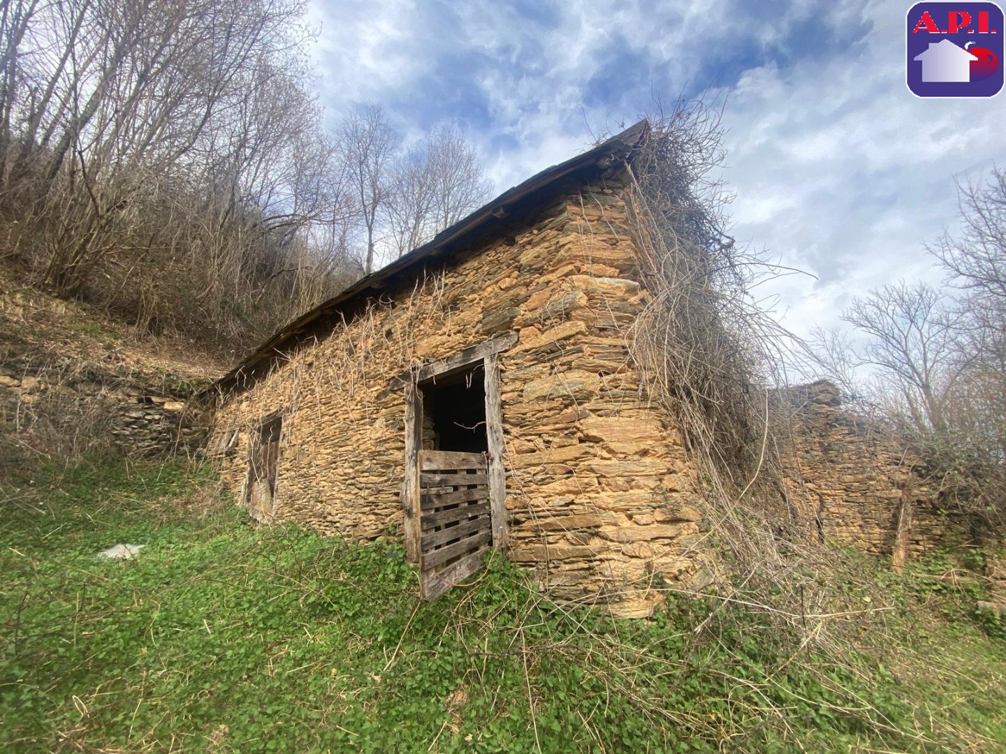 Agence immobilière de ARIEGE PYRENEES IMMOBILIER (API)