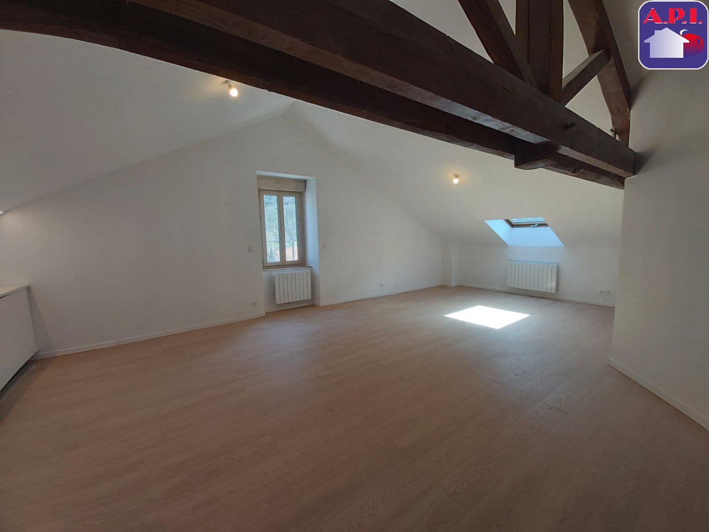 Agence immobilière de ARIEGE PYRENEES IMMOBILIER (API)
