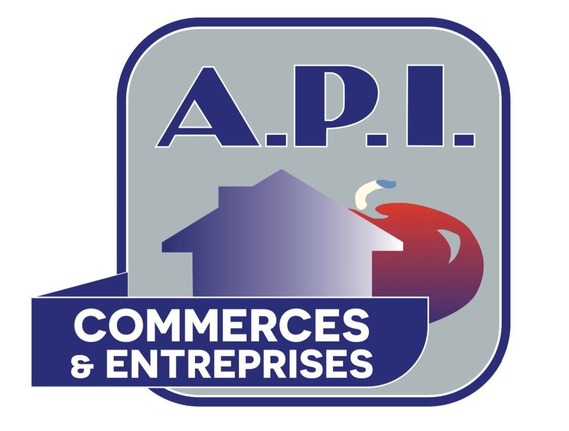 Agence immobilière de ARIEGE PYRENEES IMMOBILIER (API)