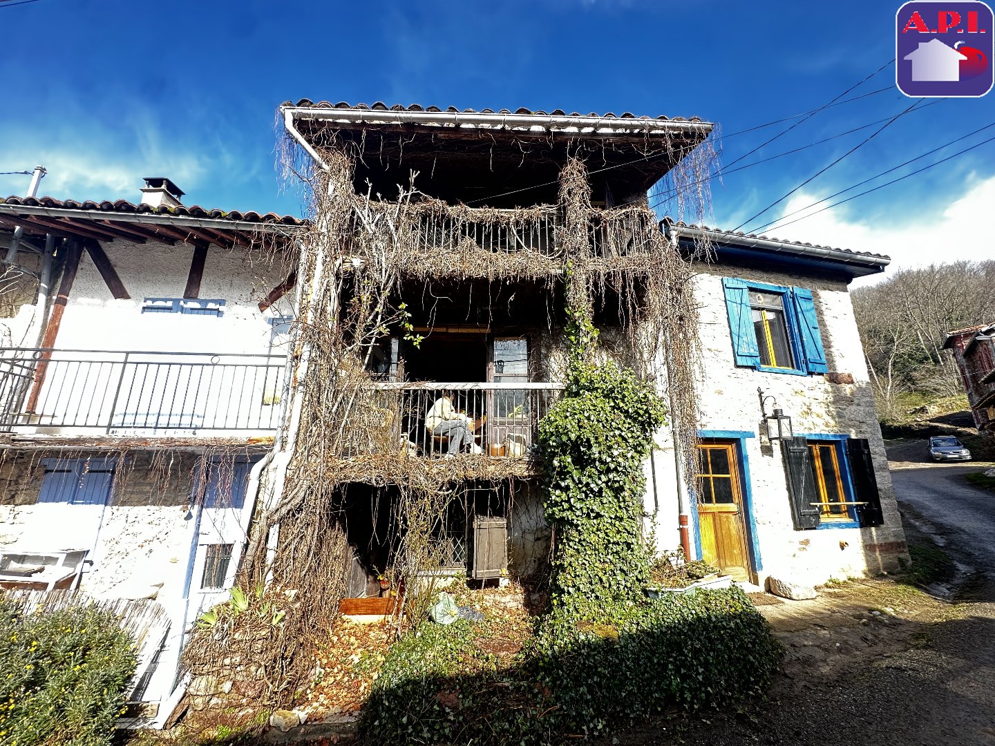 Agence immobilière de ARIEGE PYRENEES IMMOBILIER (API)