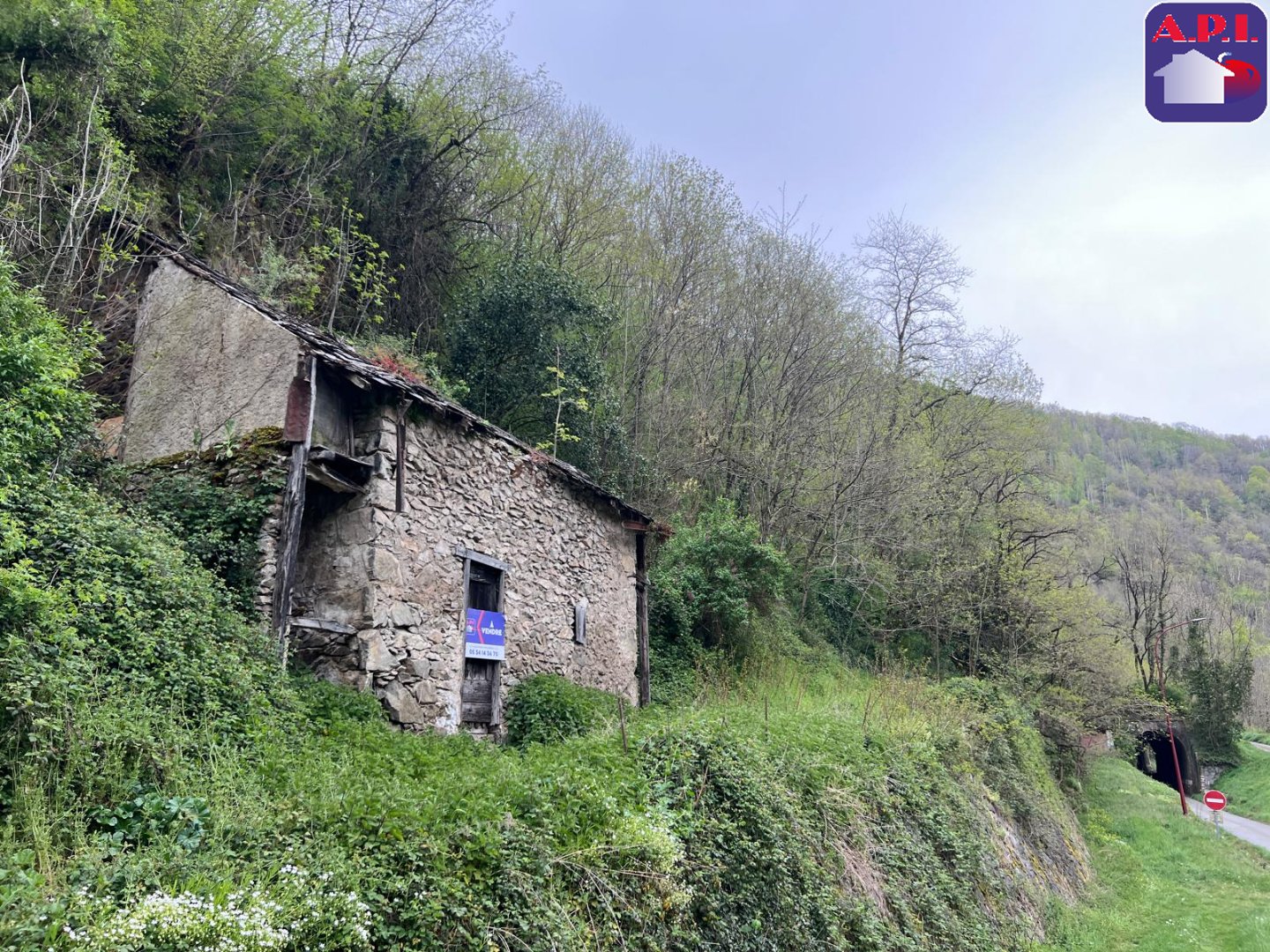 Agence immobilière de ARIEGE PYRENEES IMMOBILIER (API)