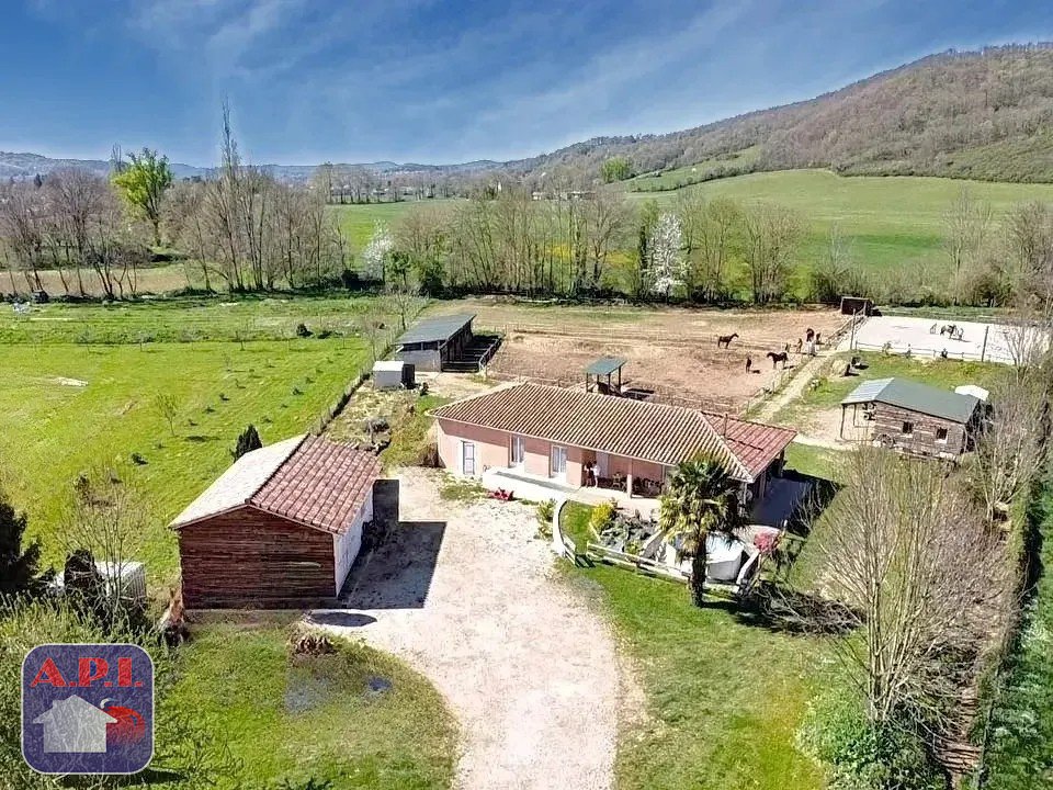 Agence immobilière de ARIEGE PYRENEES IMMOBILIER (API)