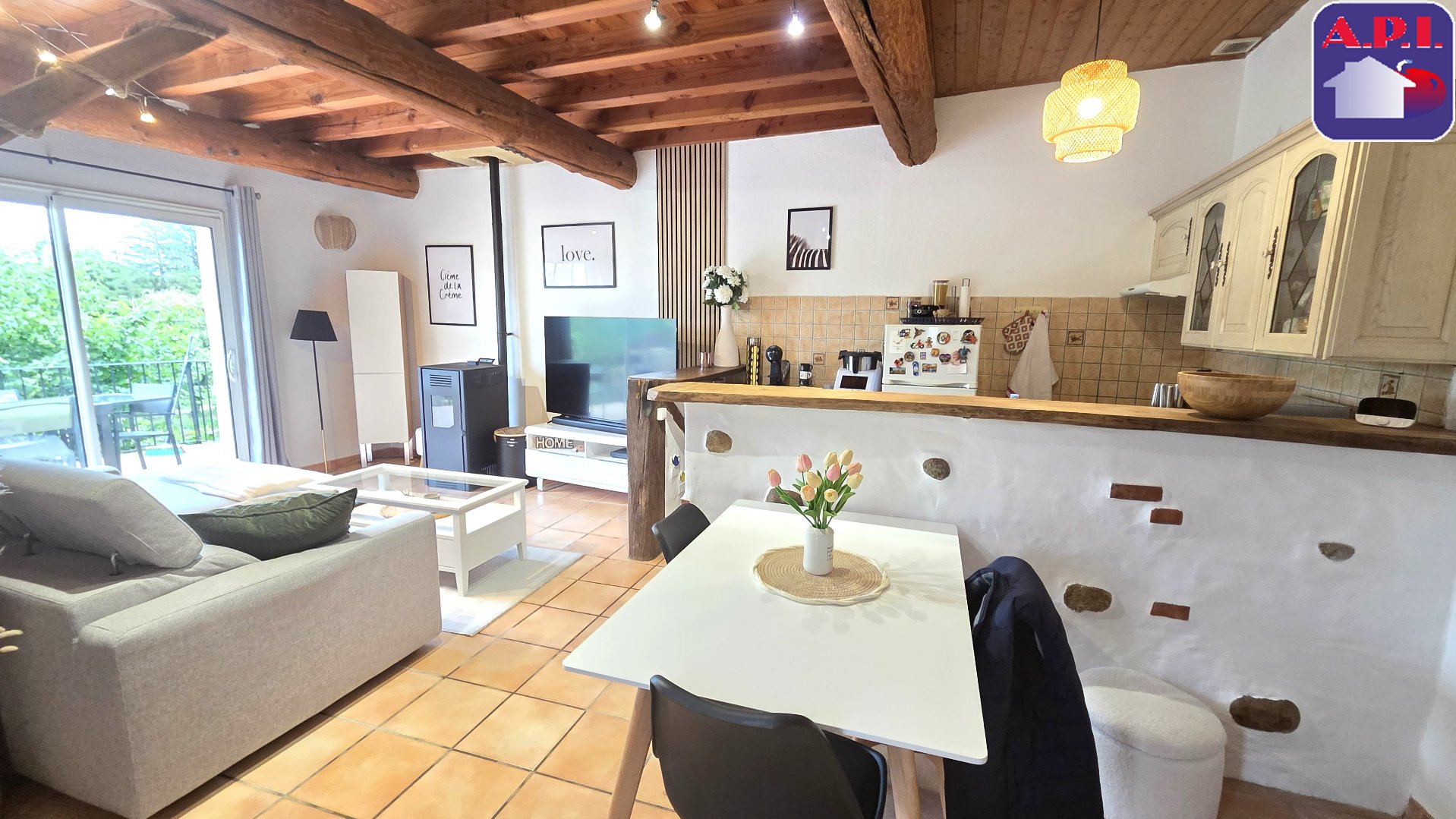 Agence immobilière de ARIEGE PYRENEES IMMOBILIER (API)