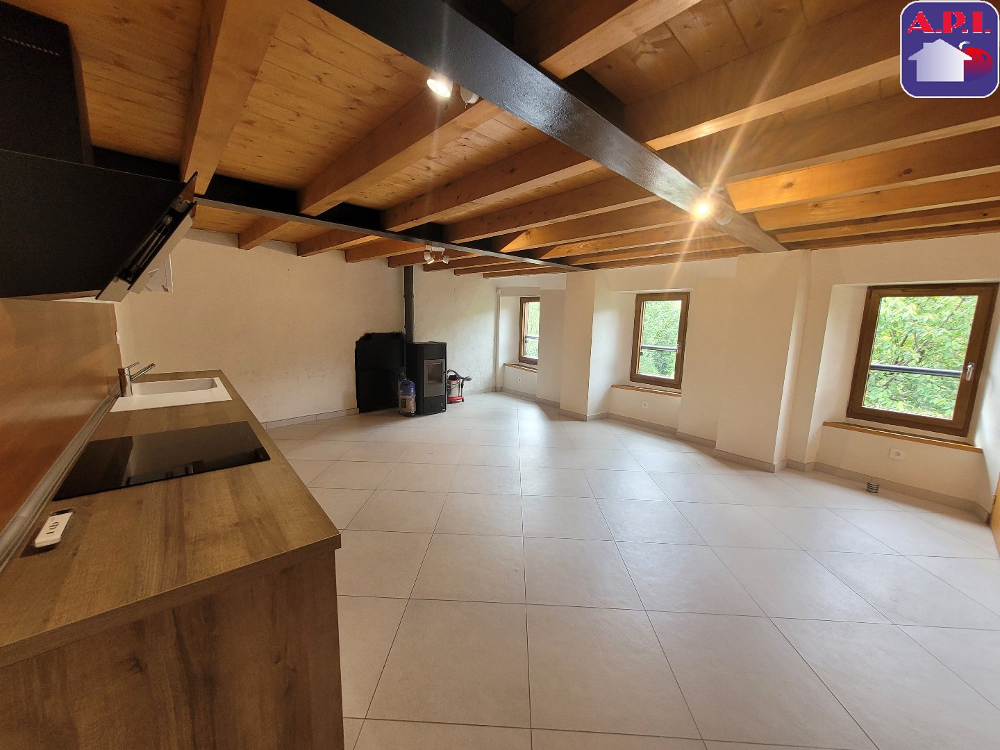 Agence immobilière de ARIEGE PYRENEES IMMOBILIER (API)