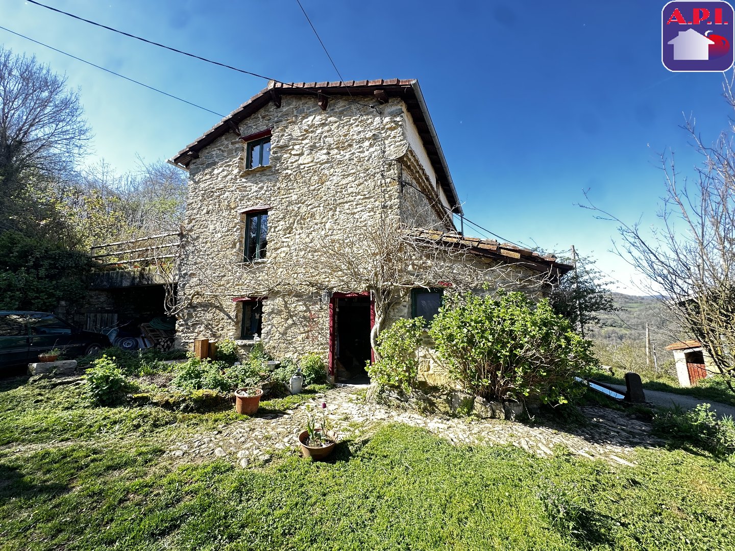Agence immobilière de ARIEGE PYRENEES IMMOBILIER (API)