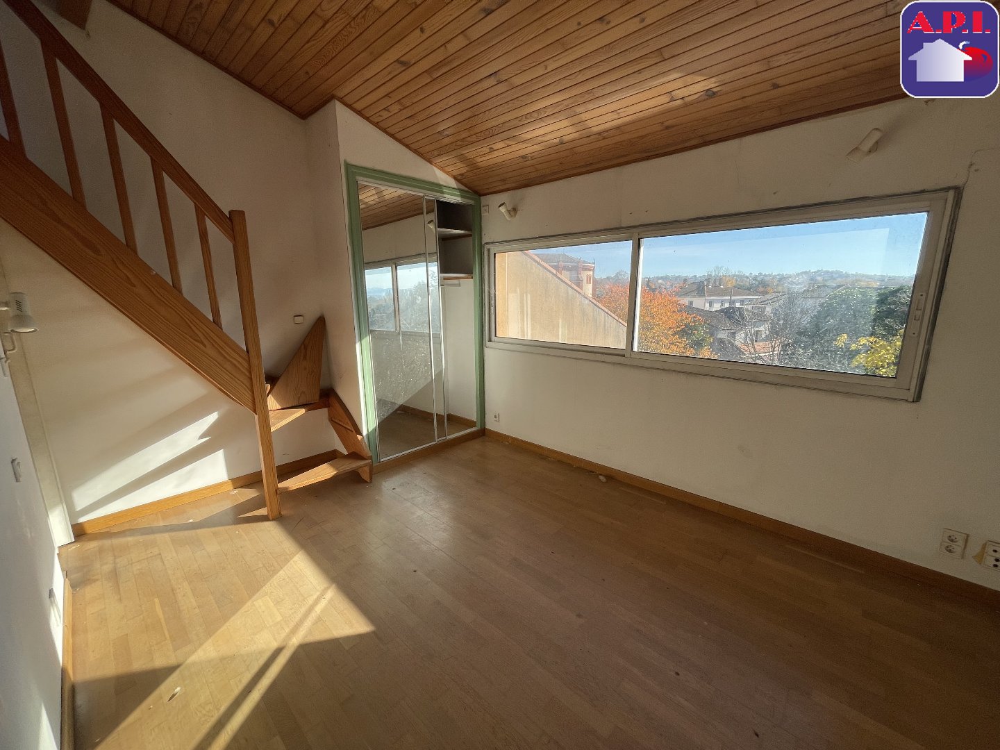 Agence immobilière de ARIEGE PYRENEES IMMOBILIER (API)