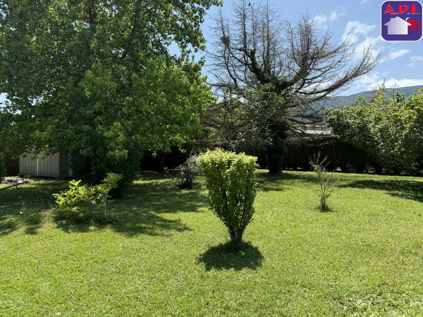 Agence immobilière de ARIEGE PYRENEES IMMOBILIER (API)
