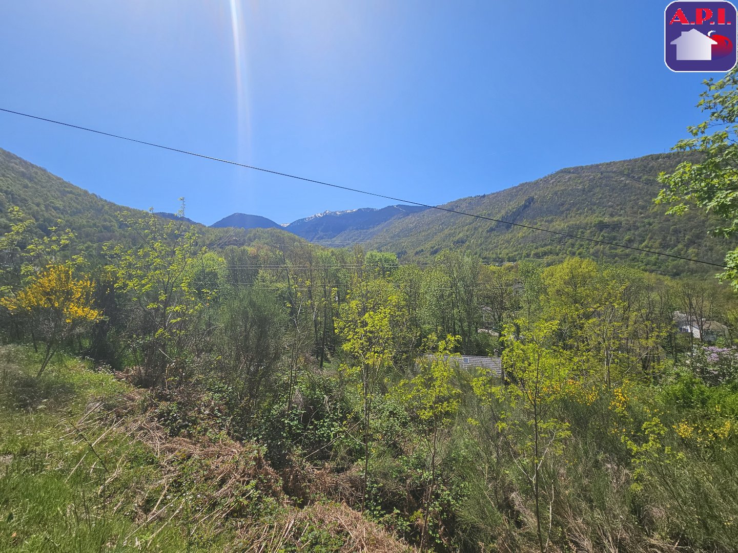 Agence immobilière de ARIEGE PYRENEES IMMOBILIER (API)