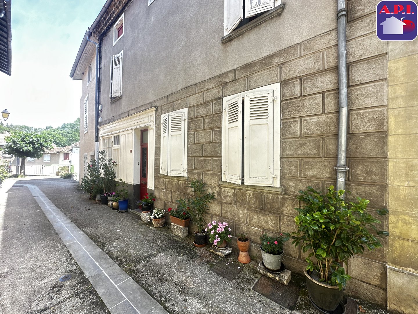Agence immobilière de ARIEGE PYRENEES IMMOBILIER (API)