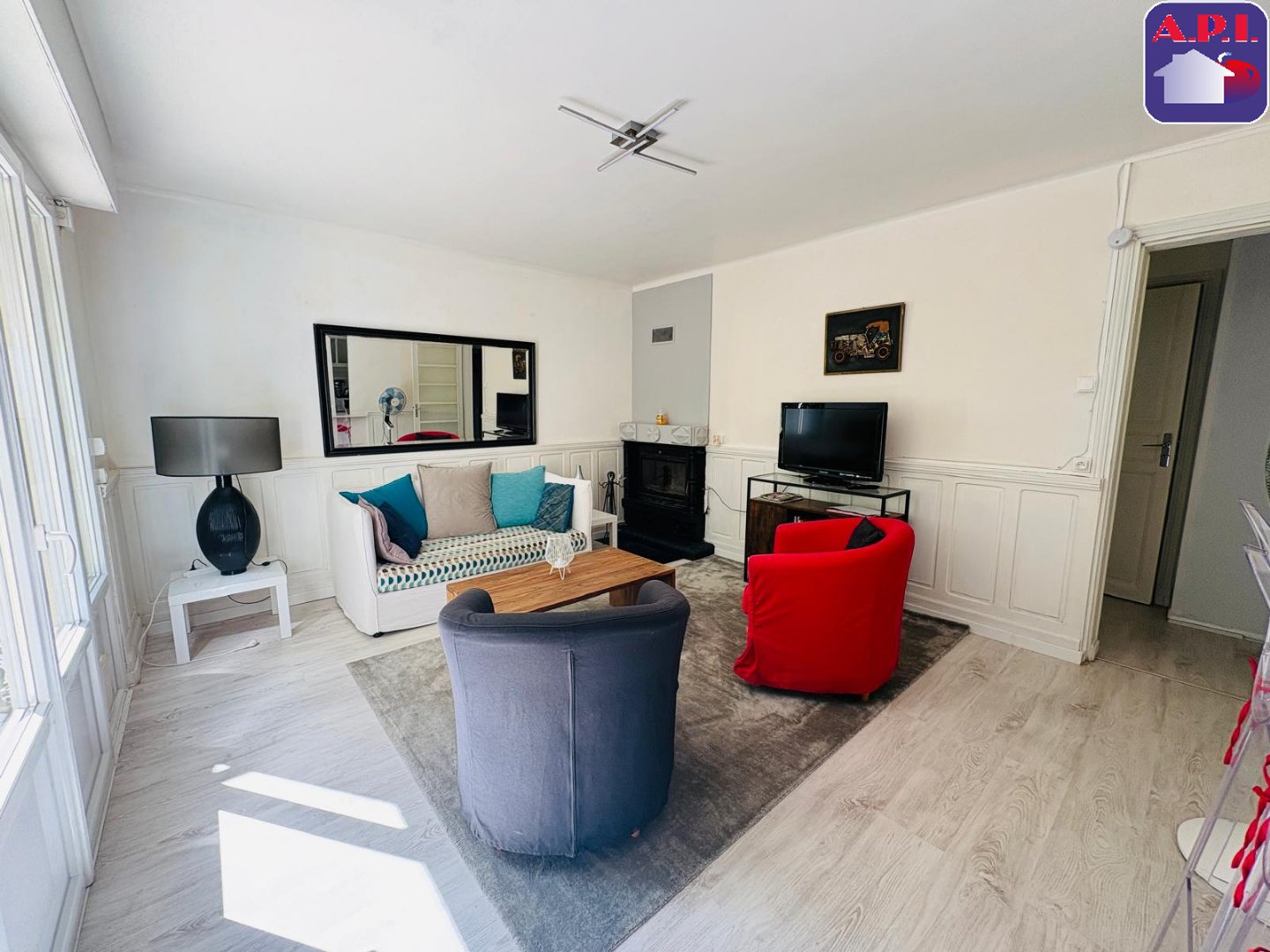 Agence immobilière de ARIEGE PYRENEES IMMOBILIER (API)