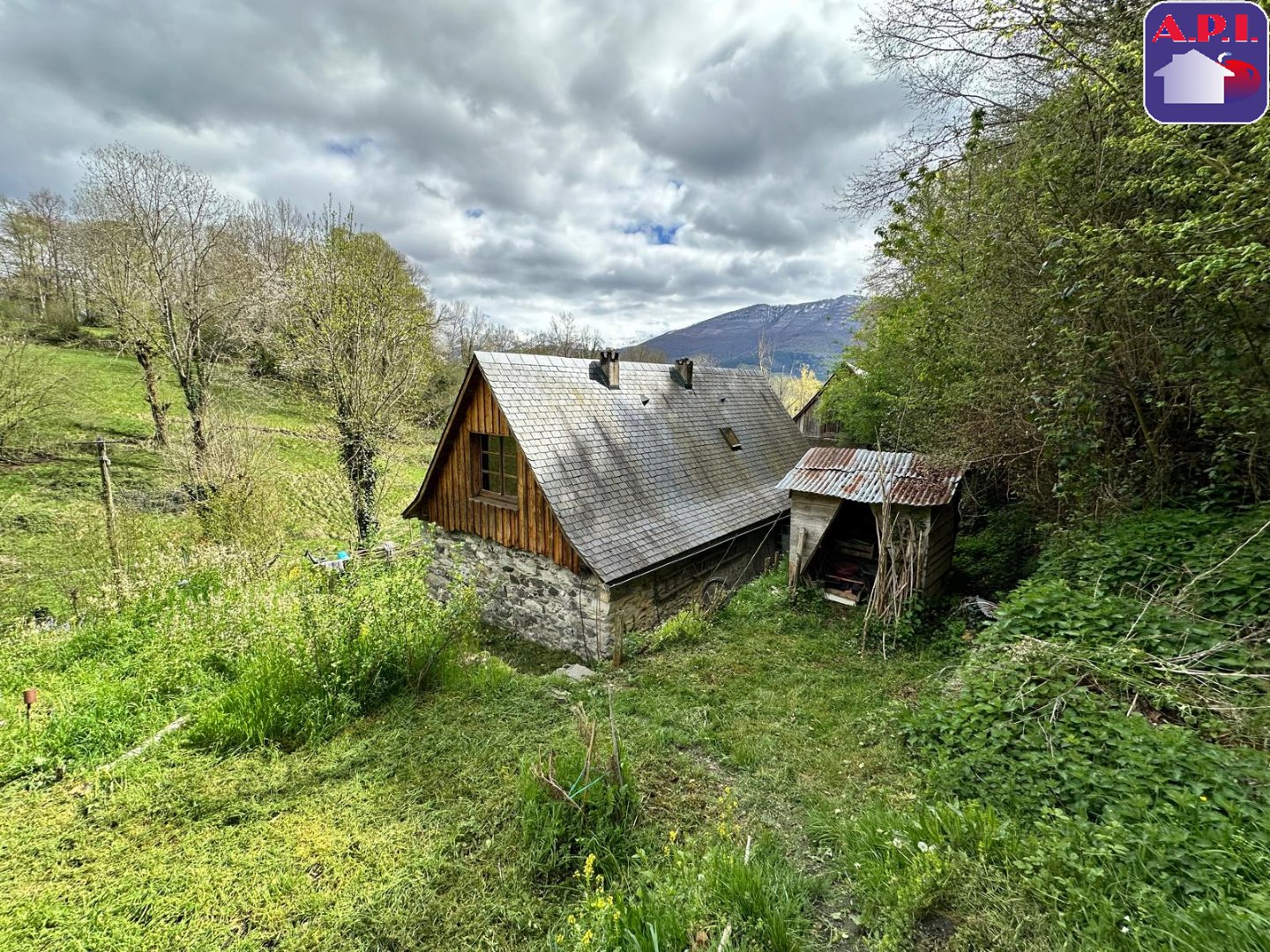 Agence immobilière de ARIEGE PYRENEES IMMOBILIER (API)